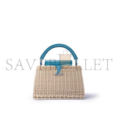 LOUIS VUITTON CAPUCINES BB N85480 (27*17*14cm)